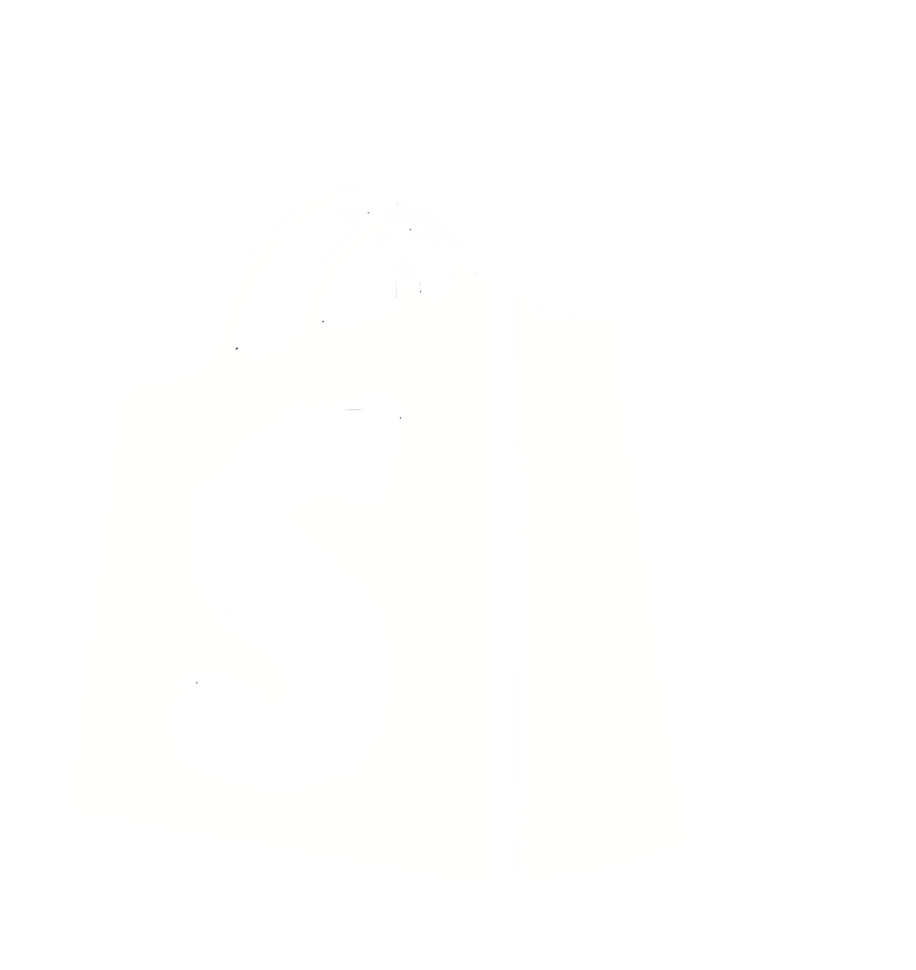 محفظة نقاط الولاء بوينتس